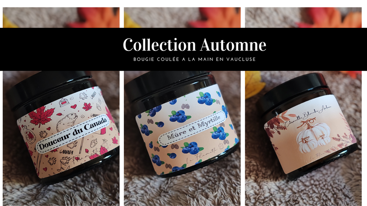 Collection Automne/ Halloween