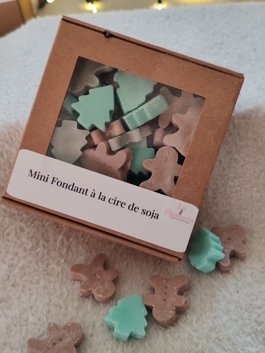 Mini Fondants pour brûleur